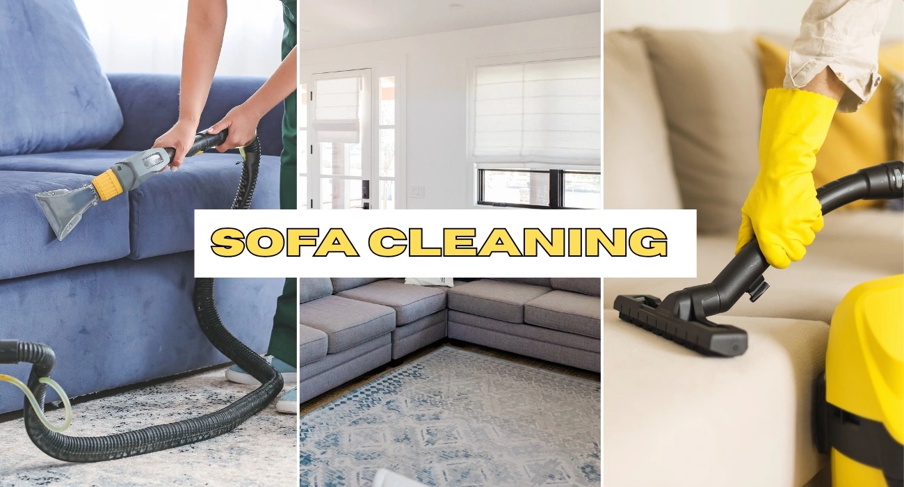 professional sofa cleaning services in DELHI